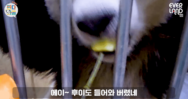 tFhxIb.gif