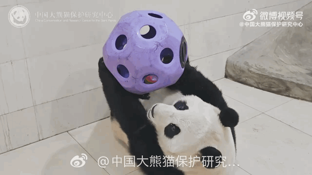 tHCuQS.gif