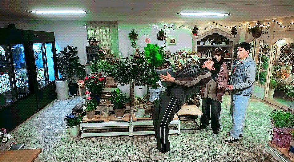 tLvSsP.gif