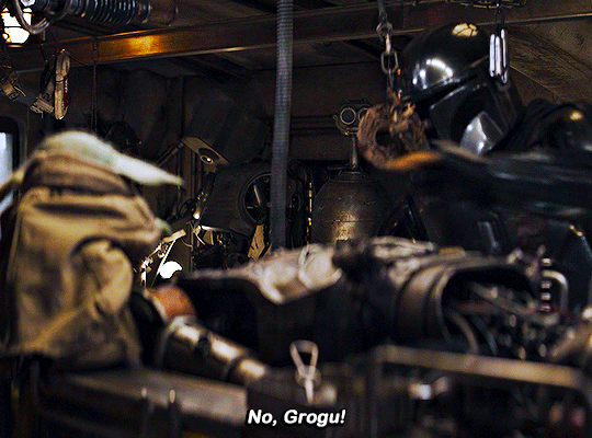 tNtlSG.gif