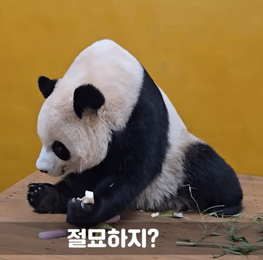 tRjnWt.gif