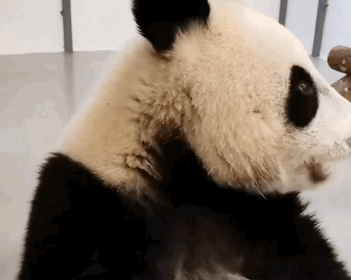 tTKVfy.gif