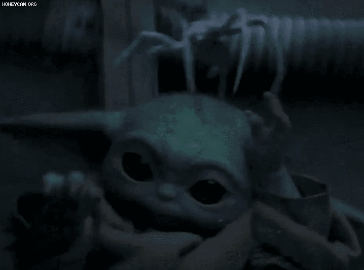 tZsXIa.gif