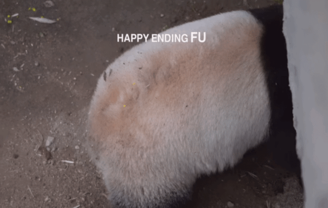 tczowD.gif