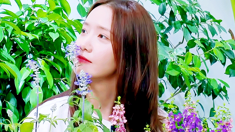 tnSnHh.gif