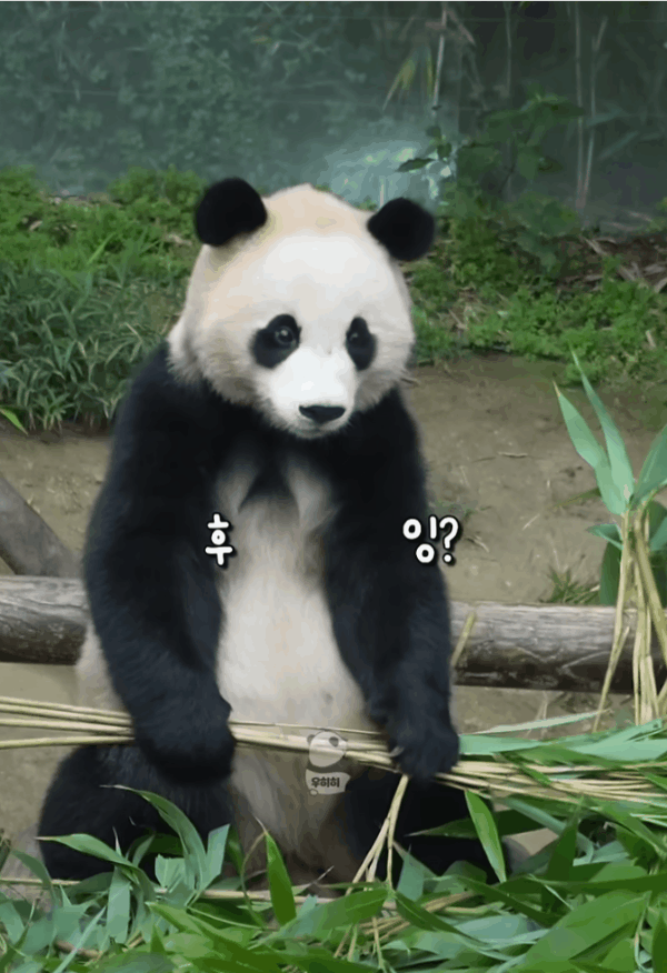 tsSVKB.gif