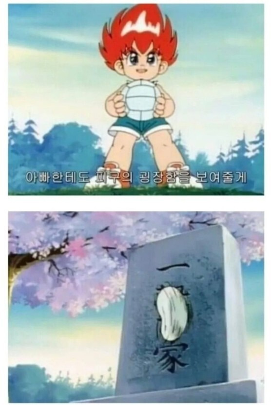 tslvPY