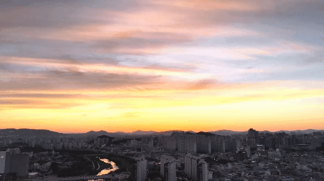 tvFeiz.gif