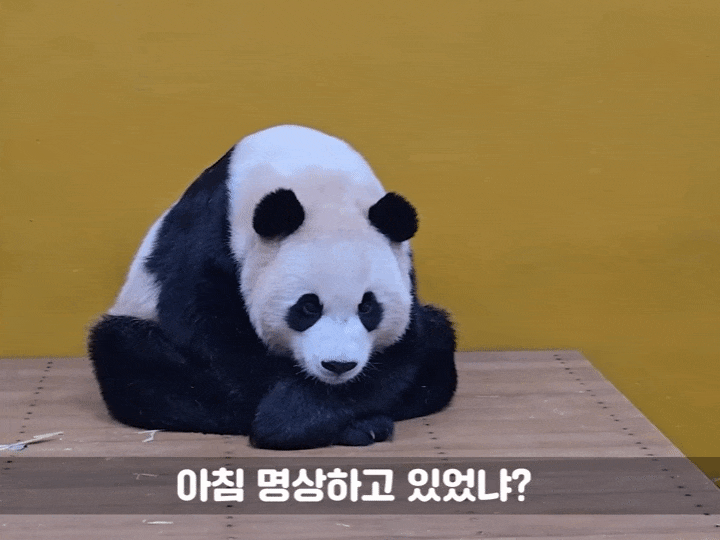twMxIb.gif