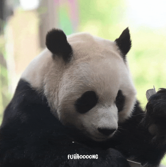 uHBnAV.gif