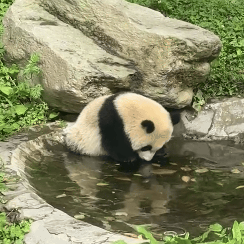 uHQqTQ.gif