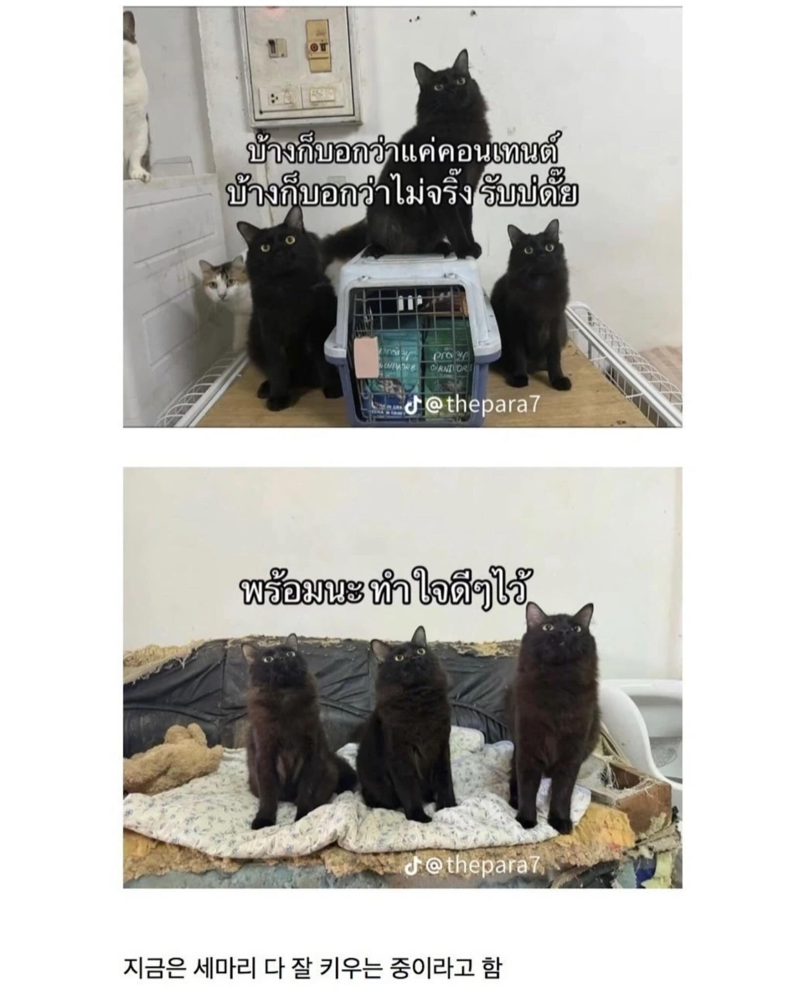 uHcMJw