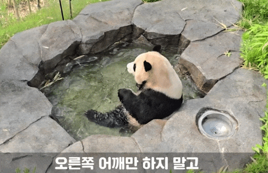 uISVlJ.gif