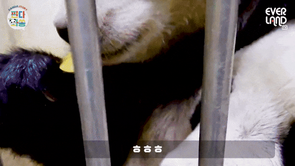 uJZxsU.gif