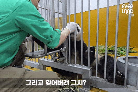 uPFROU.gif