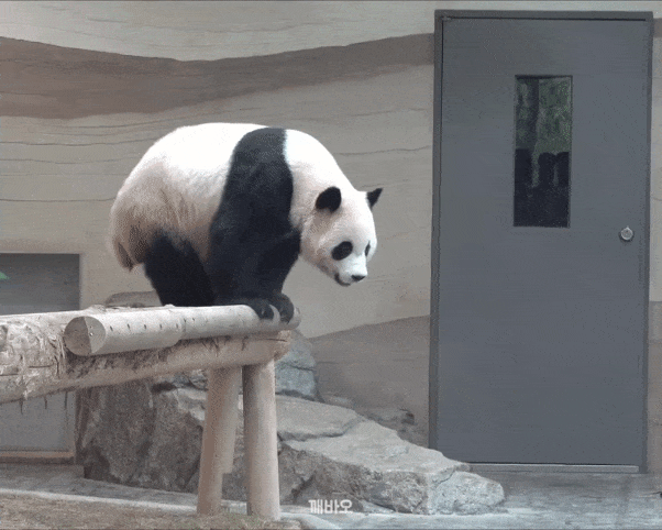 uQNjve.gif