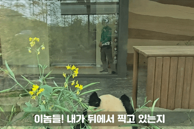 uaEYEw.gif