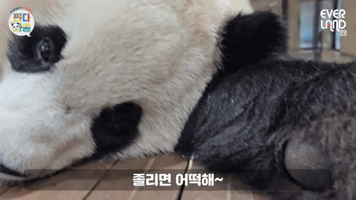 uaXQDv.gif