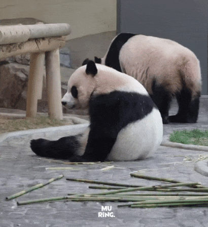 uheqwO.gif