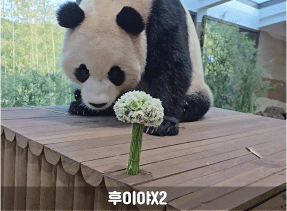 uhygKT.gif