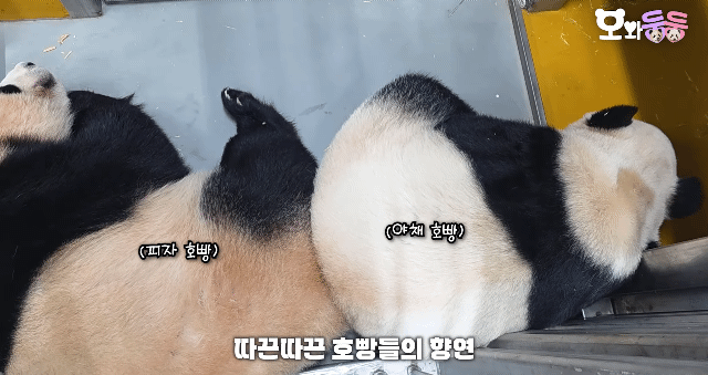 utQPLf.gif