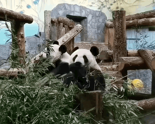 uwvrOi.gif