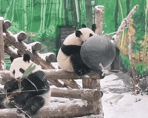 vBbTnQ.gif