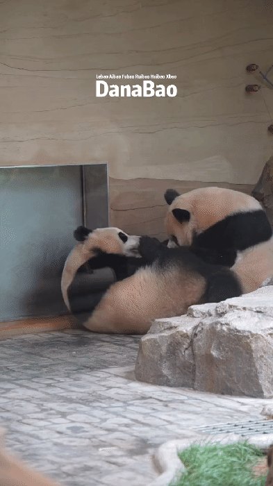 vFcbnv.gif