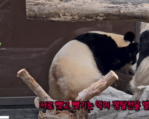 vIjxqu.gif