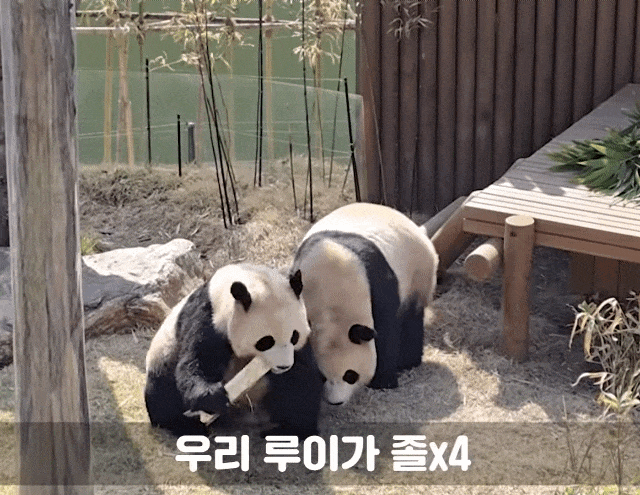 vJsGEF.gif
