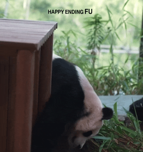 vSjYvY.gif