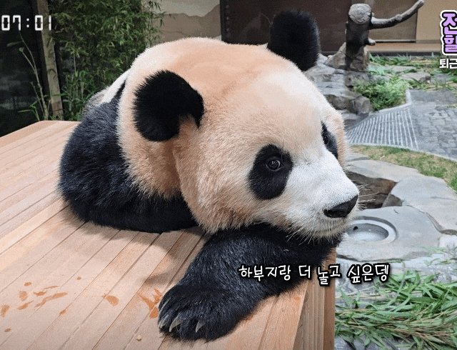 vYsUTP.gif