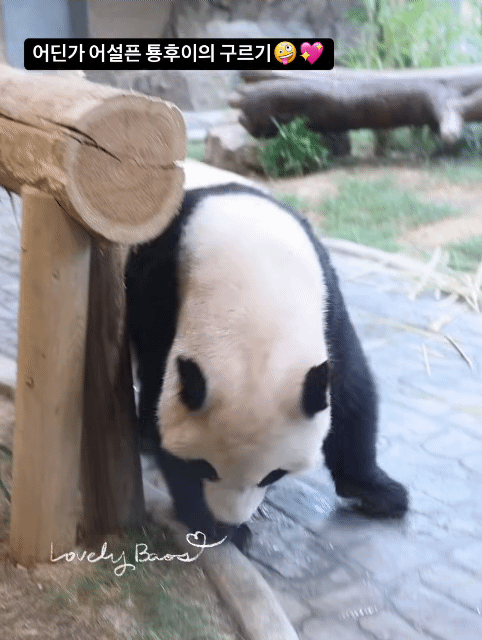 vZAqpi.gif