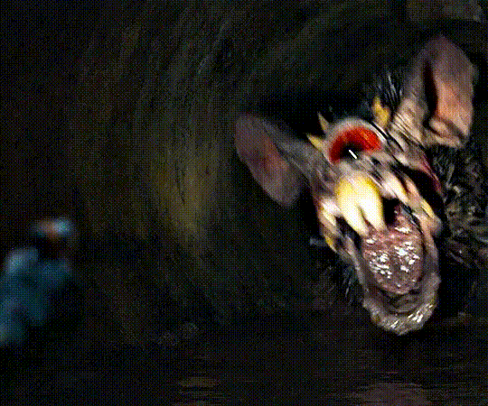 vdwPzf.gif