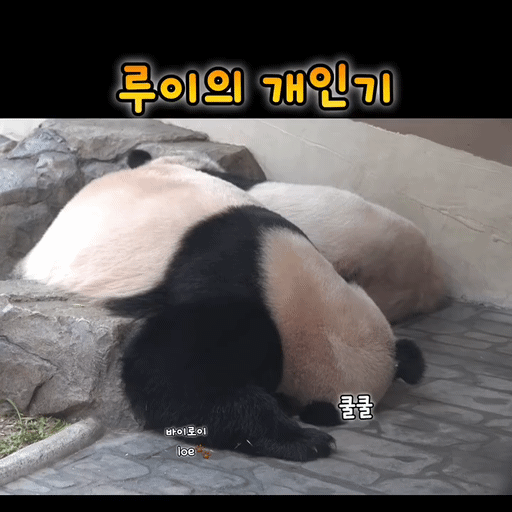 vgBccT.gif
