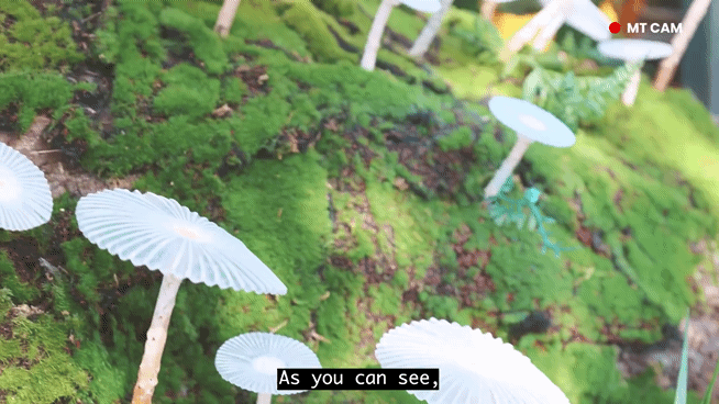 vmcpjf.gif