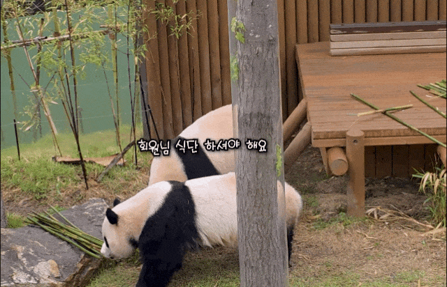 vqjCMl.gif