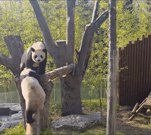 vyxIOD.gif