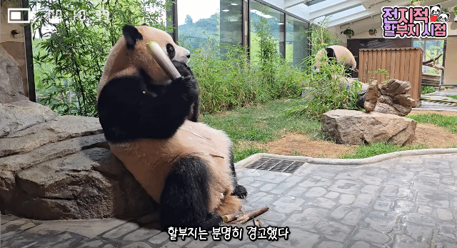 wDFrlb.gif