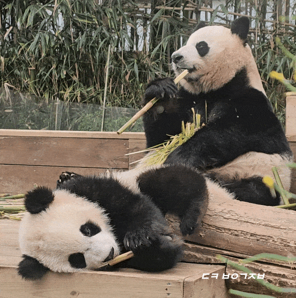 wDpAUe.gif