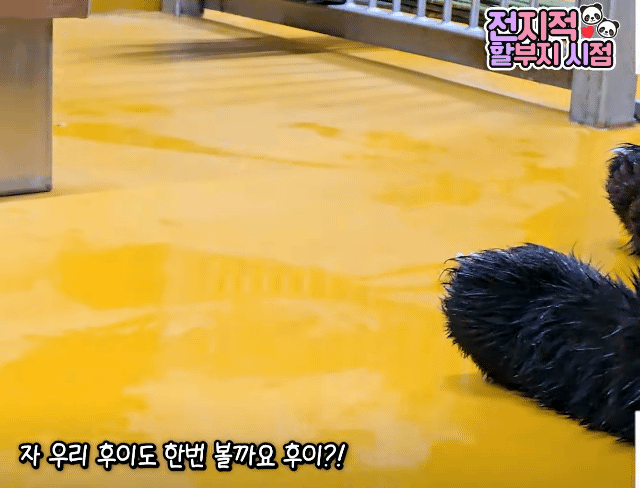 wKGYQc.gif