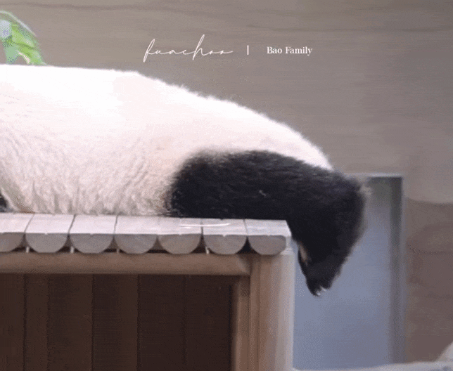 wKdaCu.gif