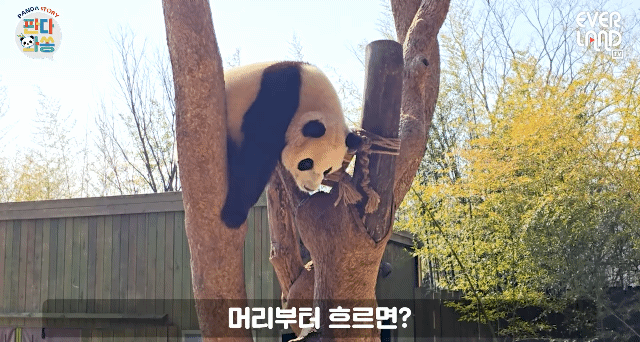 wMFqBn.gif