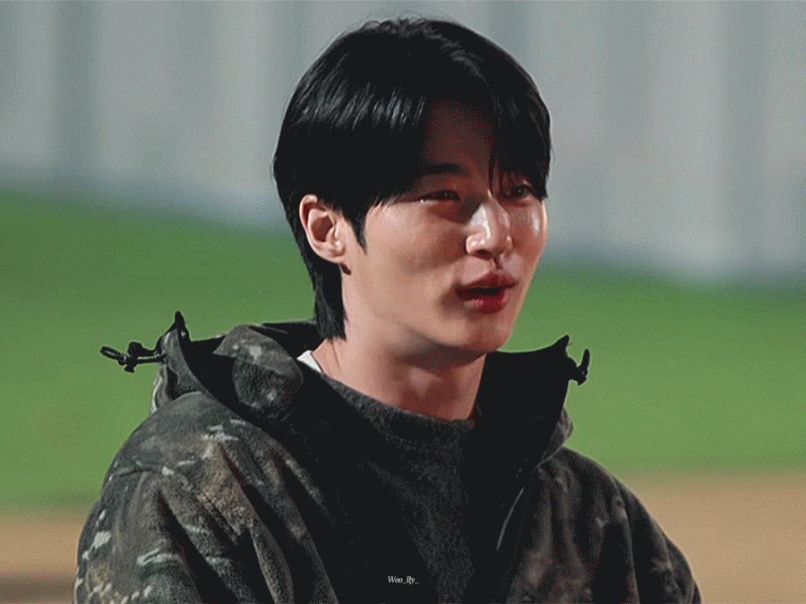 wSOarq.gif