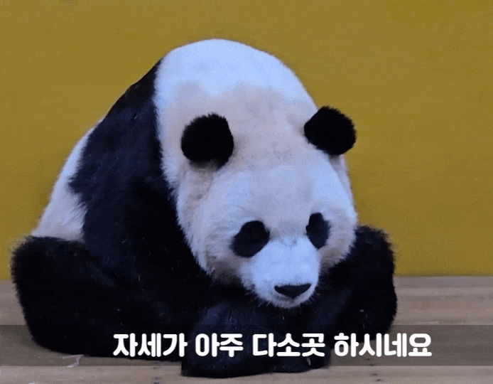 wWaGvE.gif