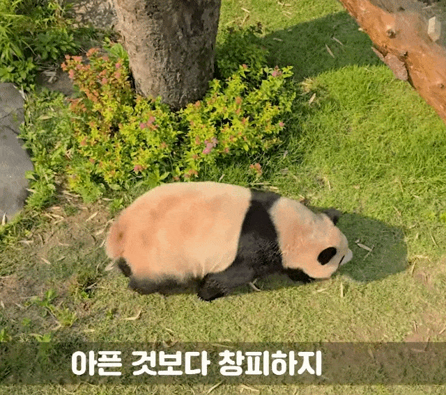 wfnMss.gif
