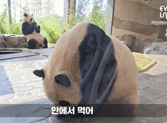 whVQCQ.gif