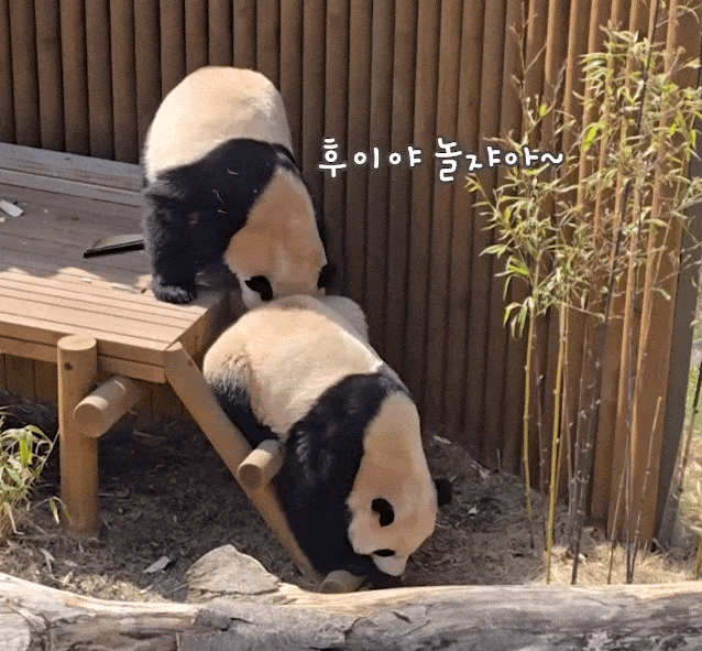 wqdqNF.gif