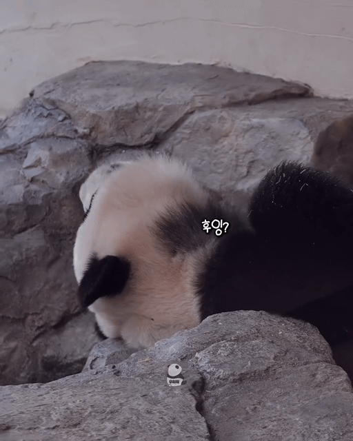 wvFqvR.gif