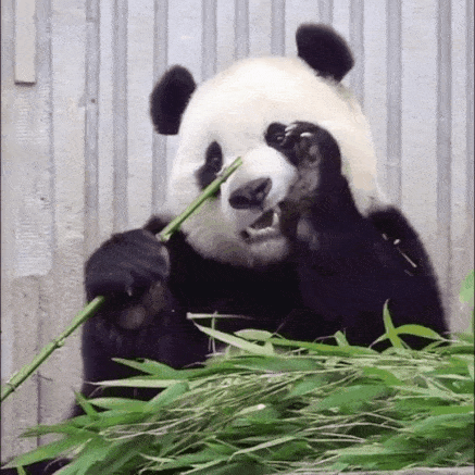 wwaWxq.gif